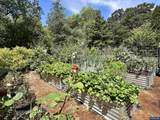 3026 Glenridge Dr - Photo 49