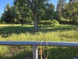 Lot 1500 Highway 228 - Photo 5
