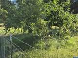 Lot 1500 Highway 228 - Photo 7