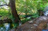 525 Mill Stream Woods Rd - Photo 10