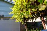 525 Mill Stream Woods Rd - Photo 15