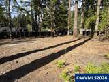 125 Deer - Photo 1
