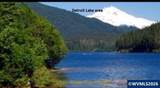 125 Deer - Photo 8