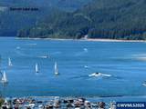 125 Deer - Photo 9