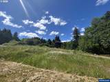 21095 Old Pacific Hwy - Photo 30