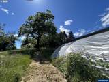 21095 Old Pacific Hwy - Photo 34