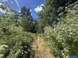 21095 Old Pacific Hwy - Photo 38