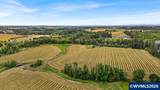 32998 Highway 213 - Photo 4