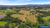 32998 Highway 213 - Photo 5