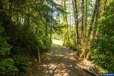 13820 Siletz - Photo 16