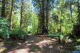 13820 Siletz - Photo 2