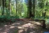 13820 Siletz - Photo 3