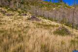 10915 Kubin - Photo 22