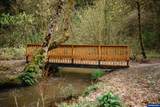 8372 Enchanted (#170) - Photo 33