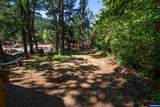 8372 Enchanted (#170) - Photo 4