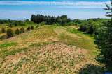 12.97 Acres Hibiscus Lot #3 - Photo 8