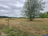  Maple (Lot 8) - Photo 1