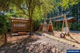 31709 Whitman Wy - Photo 43