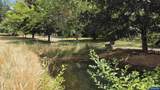 34125 Lacomb Rd - Photo 12