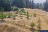 26221 Old Holley Rd - Photo 43