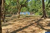 25264 Kyle Rd - Photo 40