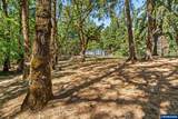 25264 Kyle Rd - Photo 41