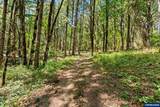 25264 Kyle Rd - Photo 42