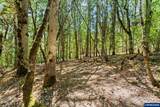 25264 Kyle Rd - Photo 44