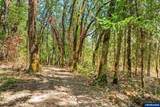 25264 Kyle Rd - Photo 46