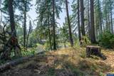 Lot 1101 Santiam Park - Photo 15