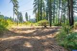 Lot 1101 Santiam Park - Photo 8