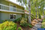 3808 3rd Av - Photo 4