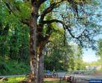 9200 Smith Rd - Photo 34