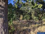 3703 Goldfinch - Photo 2