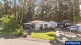 11847 Chateau Dr - Photo 4