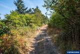 2020 Pioneer Rd - Photo 46