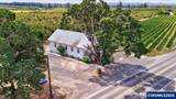 13651 River - Photo 36