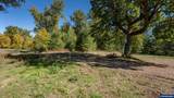 1190 Boysenberry - Photo 15