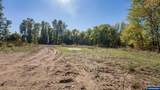 1190 Boysenberry - Photo 17