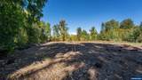 1190 Boysenberry - Photo 27