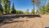 1190 Boysenberry - Photo 29