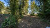 1190 Boysenberry - Photo 33