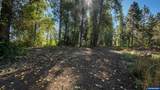 1190 Boysenberry - Photo 38