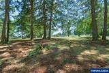 15540 Quall - Photo 10