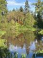 40787 Snow Peak Dr - Photo 43