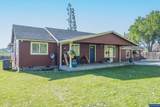 31501 Stoltz Hill Dr - Photo 4