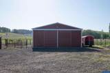 31501 Stoltz Hill Dr - Photo 41