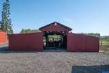 31501 Stoltz Hill Dr - Photo 44