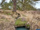 12403 Eby Rd - Photo 14