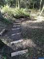 4895 Sunset View Ln - Photo 22